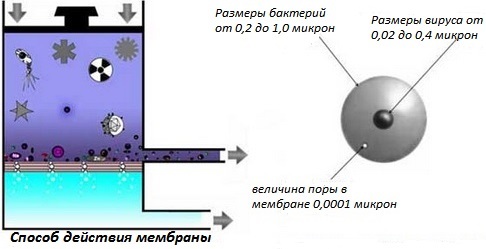 строка10_12.jpg